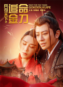 高清无遮挡